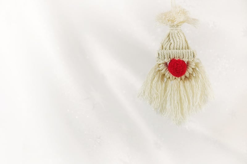 Macrame Plant Hanger