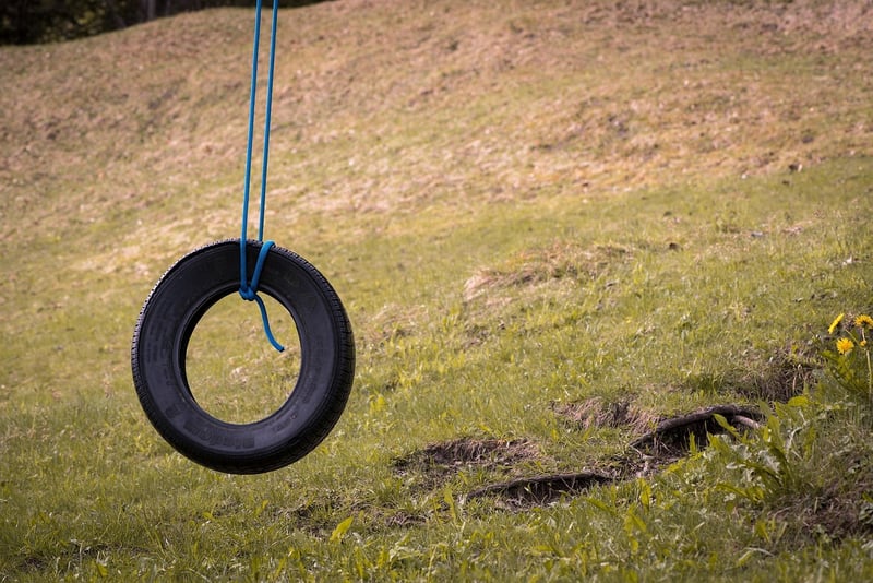 Recycled Tire Swing